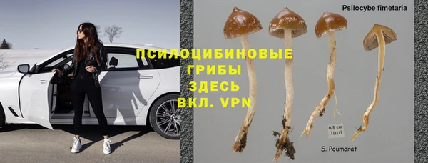 гидропоника Богородицк