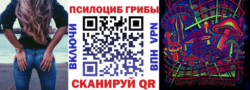 Псилоцибиновые грибы мухоморы  kraken как войти  Демидов 